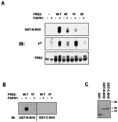 FIG. 3