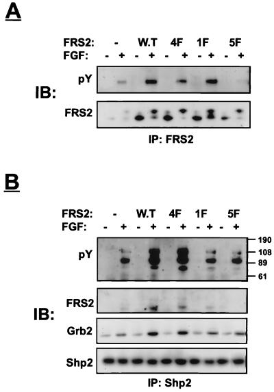 FIG. 5