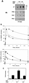 FIG. 8
