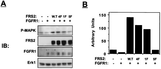 FIG. 4