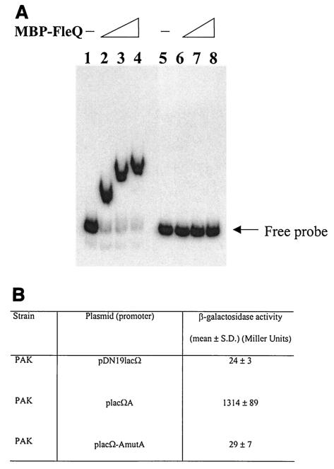 FIG. 7.