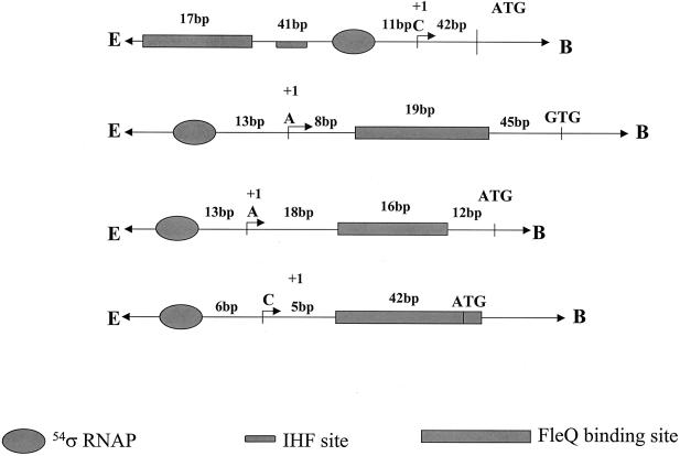 FIG. 6.