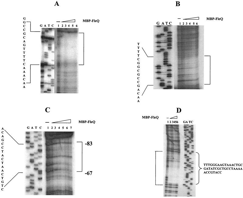 FIG. 3.