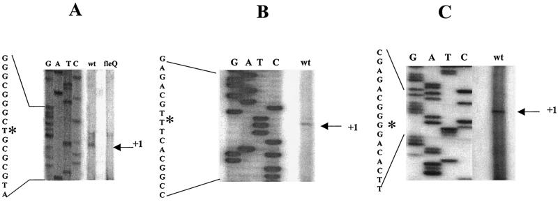 FIG. 5.