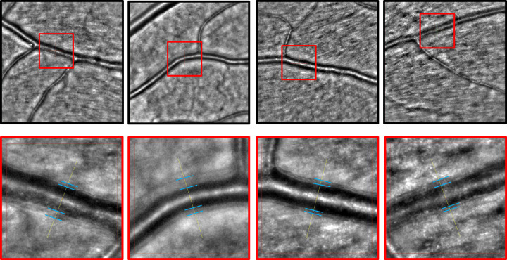 Figure 2.