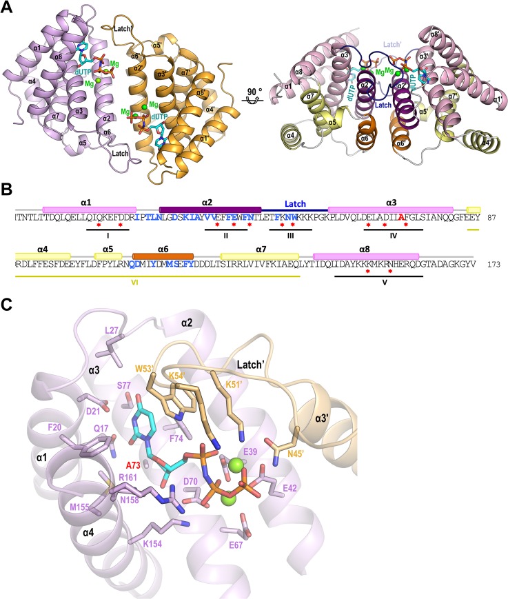 Fig 4