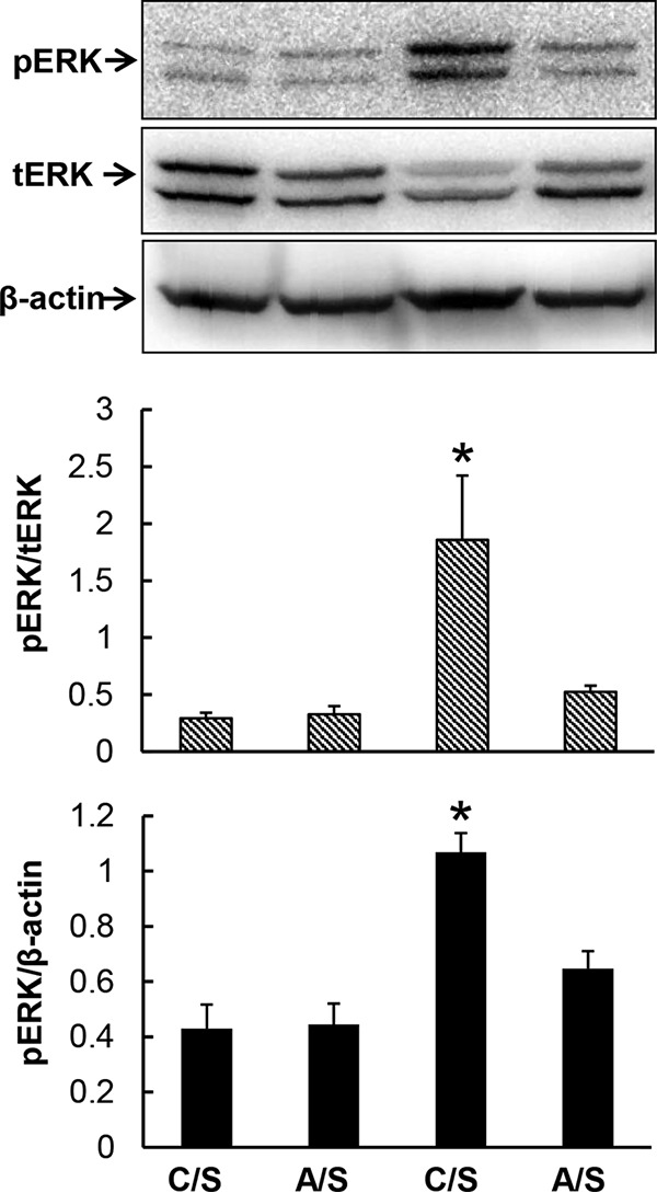 FIG 5