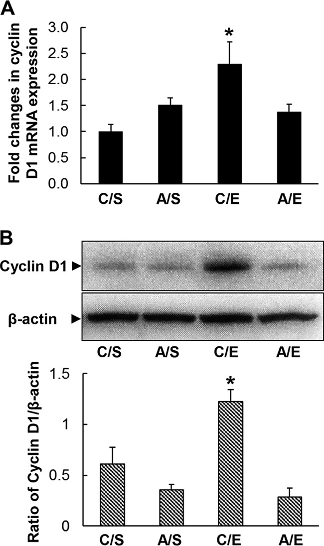 FIG 6