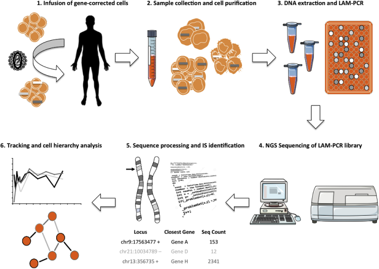 Figure 2