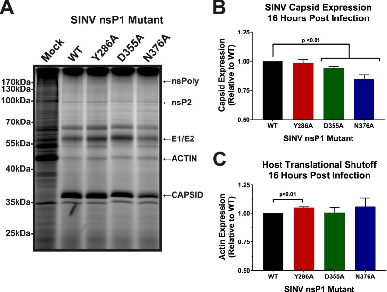 FIG 6