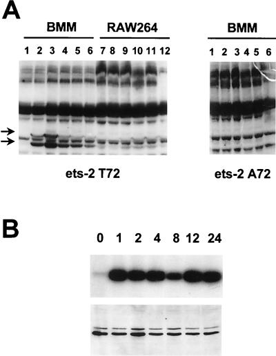 FIG. 4