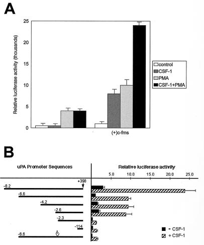 FIG. 8