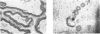 464-2
