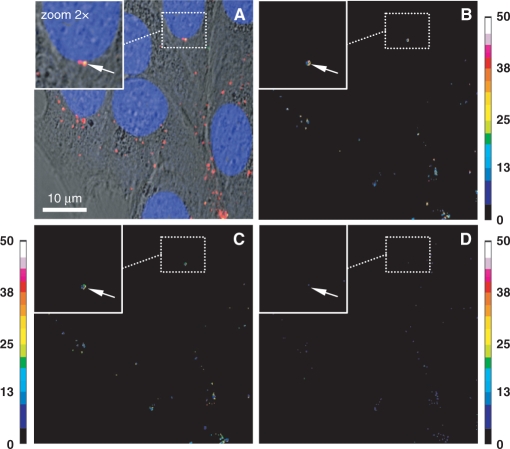 Figure 2.