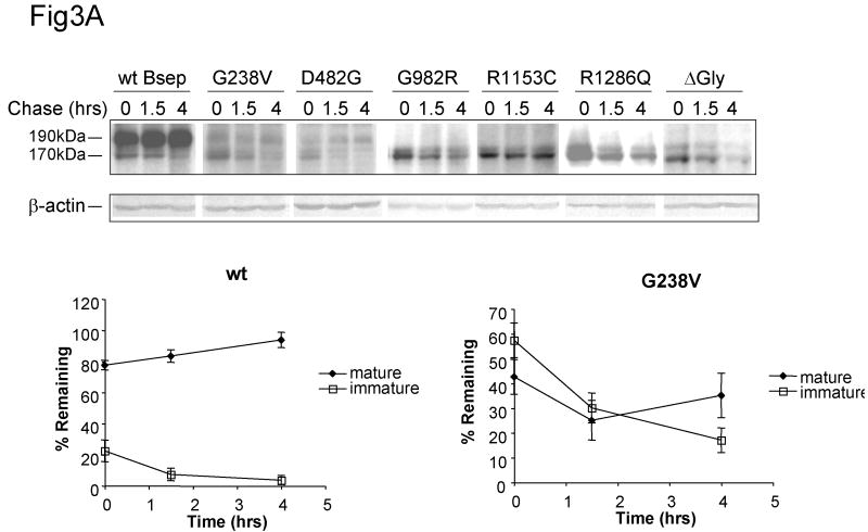 Fig.3