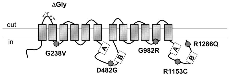 Fig.1