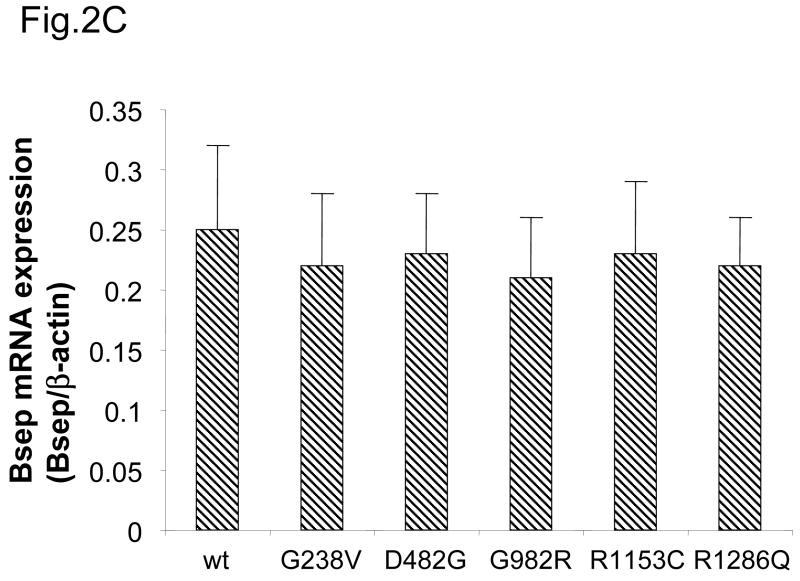 Fig.2