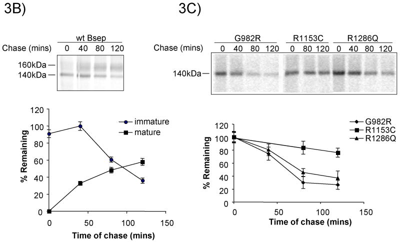 Fig.3