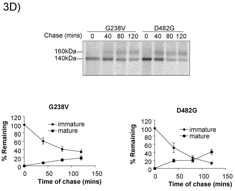 Fig.3