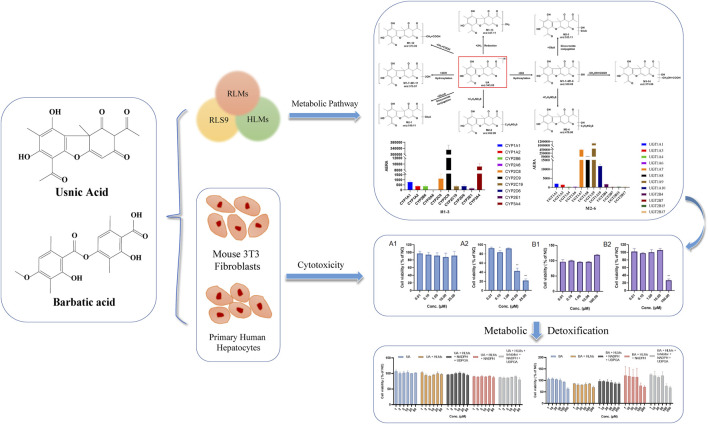 graphic file with name FPHAR_fphar-2023-1207928_wc_abs.jpg