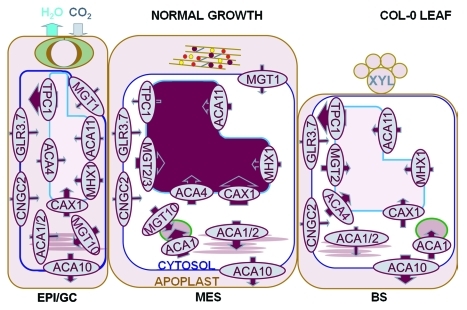 Figure 3.