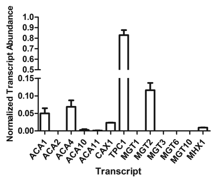 Figure 2.