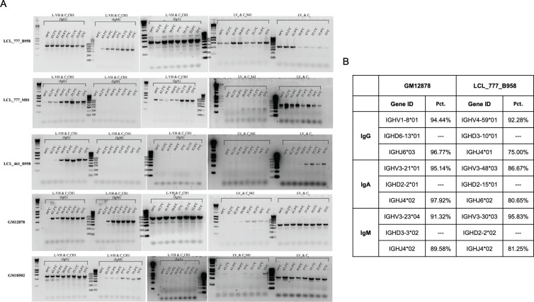 Figure 1—figure supplement 6.