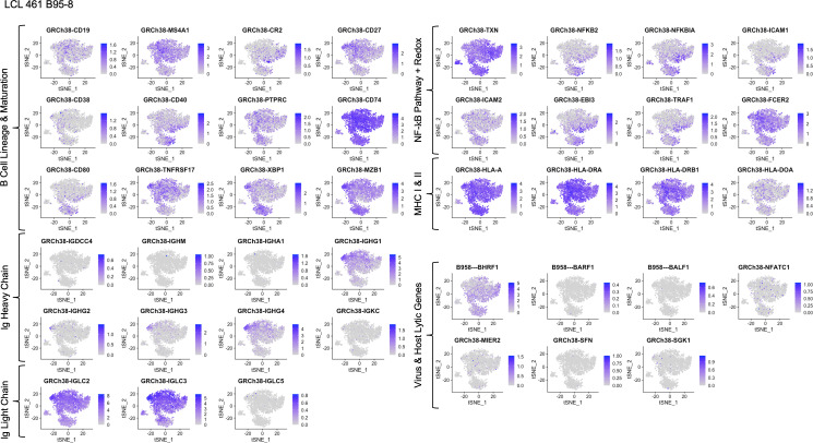 Figure 1—figure supplement 9.