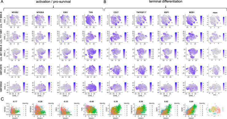 Figure 2—figure supplement 1.