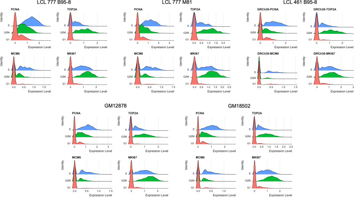 Figure 1—figure supplement 3.