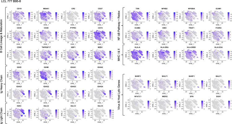 Figure 1—figure supplement 7.