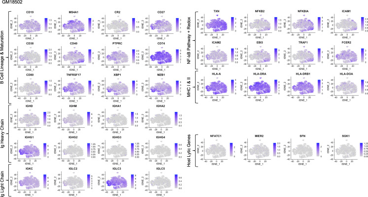 Figure 1—figure supplement 11.