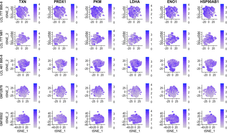 Figure 2—figure supplement 2.