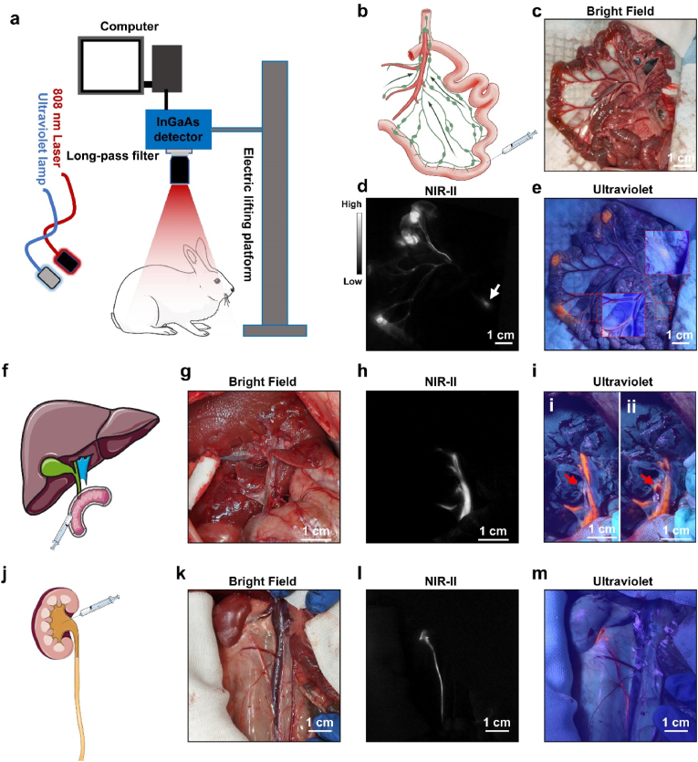 Fig. 4