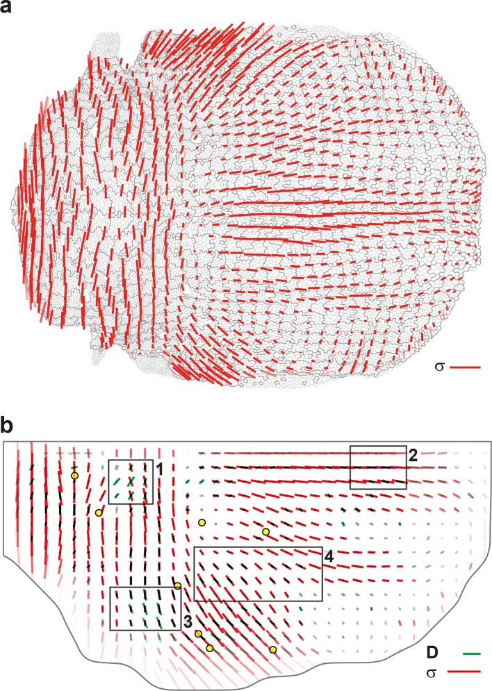 Figure 7.