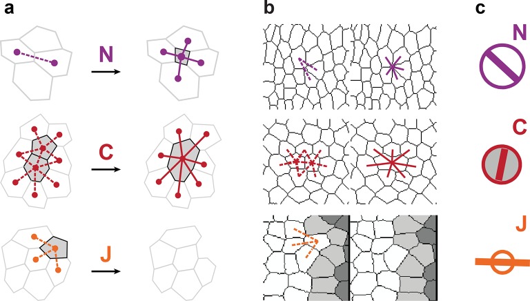 Figure 1—figure supplement 1.