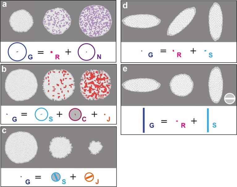 Figure 2—figure supplement 1.