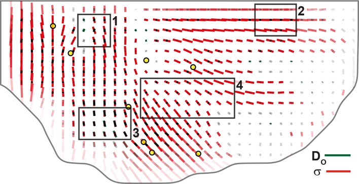 Figure 7—figure supplement 2.