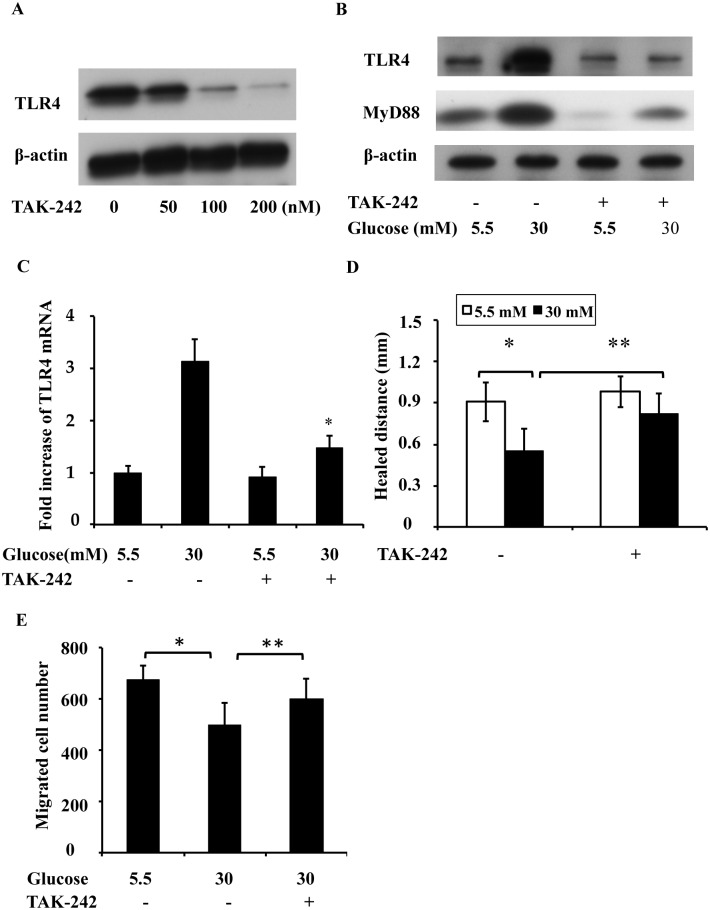 Fig 5