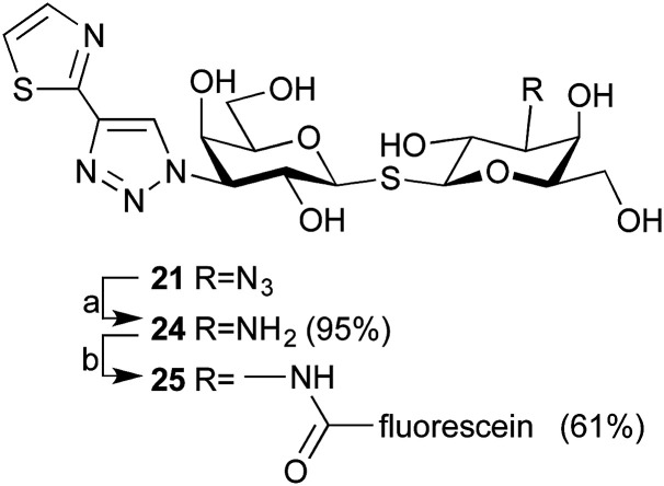 Scheme 3