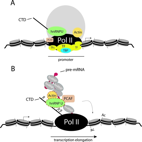 FIG. 13.