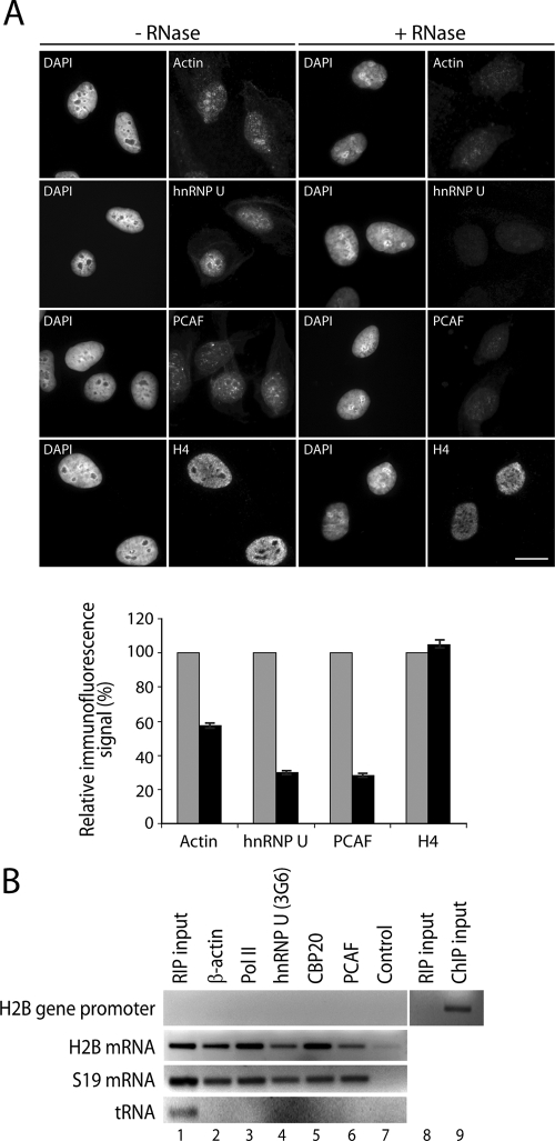 FIG. 10.