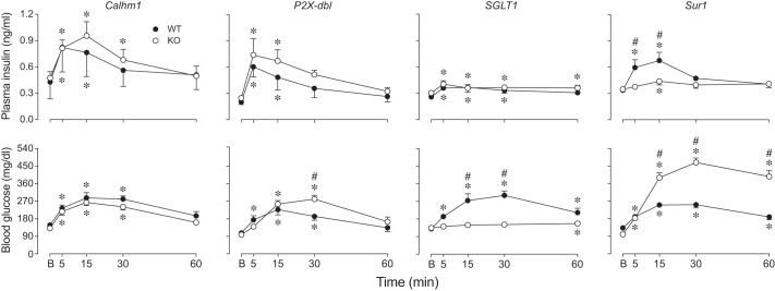 Fig. 9.