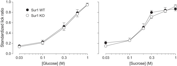 Fig. 10.