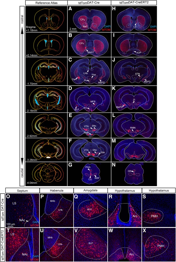 Figure 2.