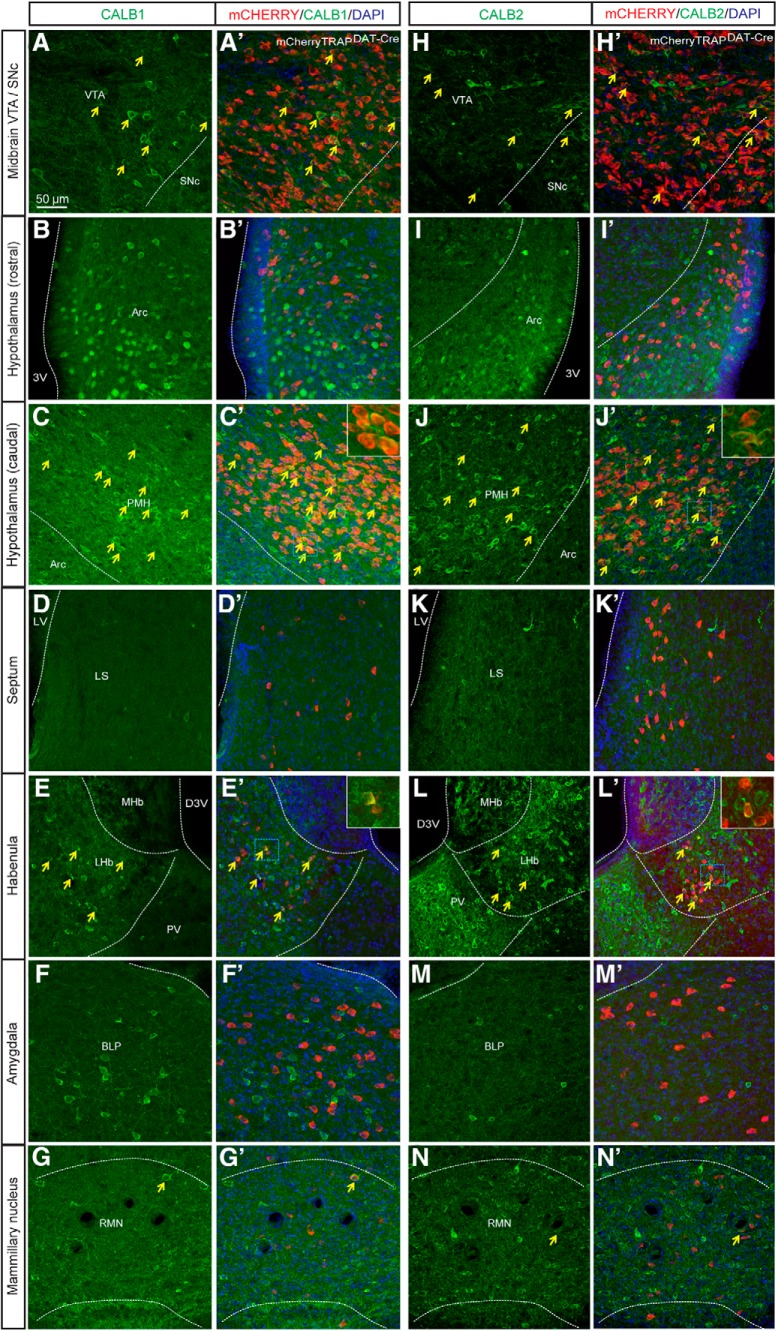 Figure 4.