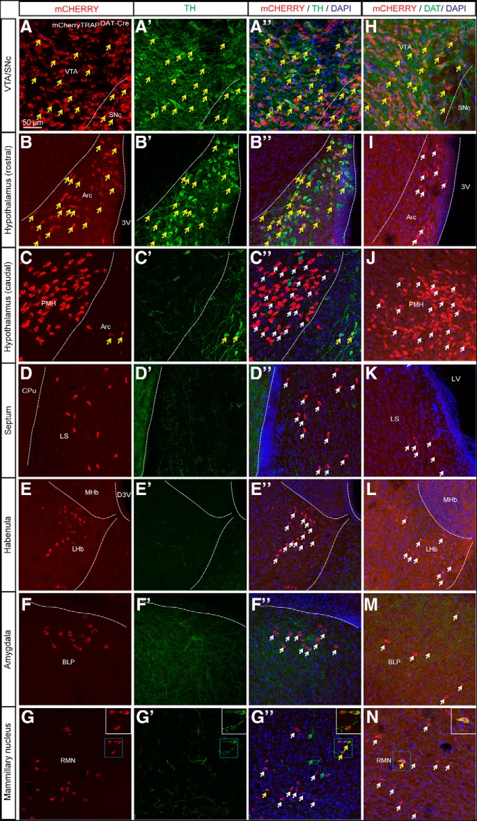 Figure 3.