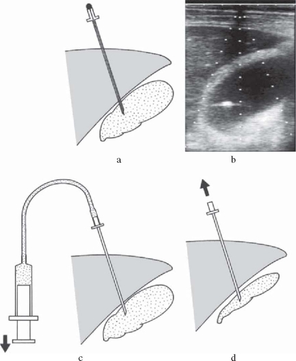 Fig. 2a–d