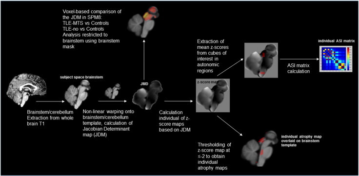 Supplementary Fig. 1