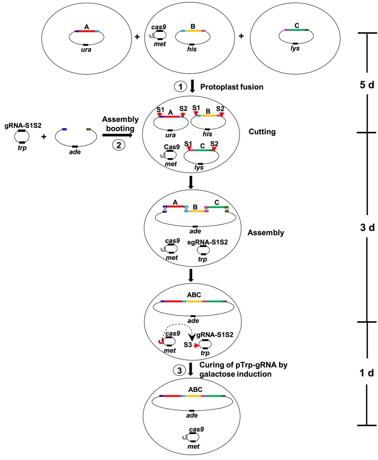 Figure 1.